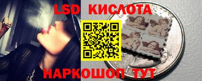 прущие грибы Славянск-на-Кубани