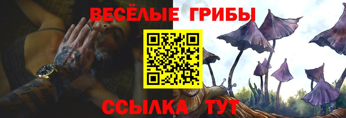 где можно купить   Галлюциногенные грибы мицелий  Вход с VPN  Санкт-Петербург 