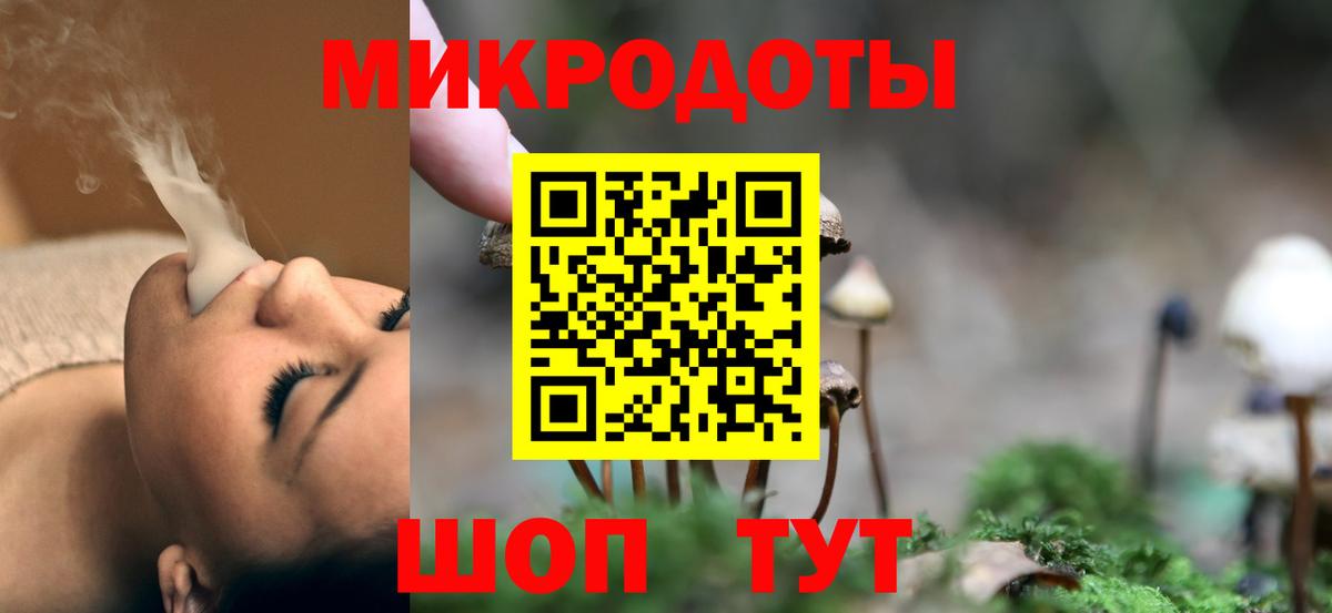 Галлюциногенные грибы Psilocybe Санкт-Петербург
